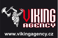 viking agency